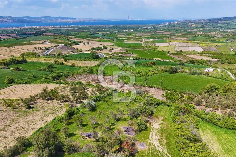 ÇANAKKALE LAPSEKİ KANGIRLI SATILIK TARLA BOĞAZ VE KÖPRÜ MANZARALI 