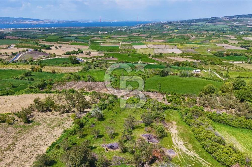 ÇANAKKALE LAPSEKİ KANGIRLI SATILIK TARLA BOĞAZ VE KÖPRÜ MANZARALI 