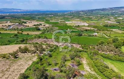 ÇANAKKALE LAPSEKİ KANGIRLI SATILIK TARLA BOĞAZ VE KÖPRÜ MANZARALI 