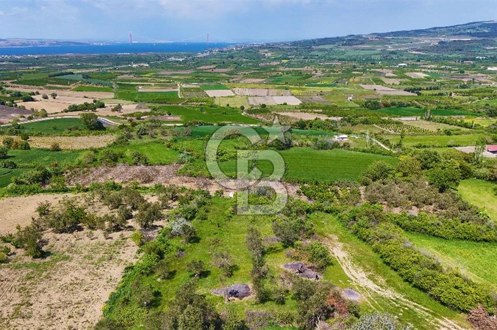 ÇANAKKALE LAPSEKİ KANGIRLI SATILIK TARLA BOĞAZ VE KÖPRÜ MANZARALI 