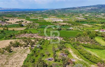 ÇANAKKALE LAPSEKİ KANGIRLI SATILIK TARLA BOĞAZ VE KÖPRÜ MANZARALI 