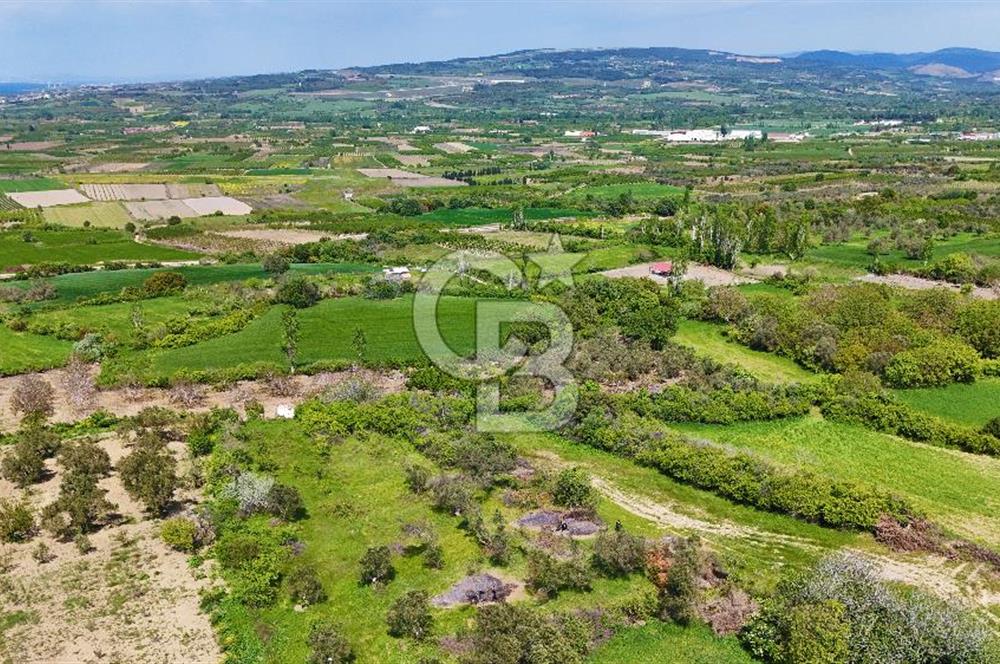 ÇANAKKALE LAPSEKİ KANGIRLI SATILIK TARLA BOĞAZ VE KÖPRÜ MANZARALI 