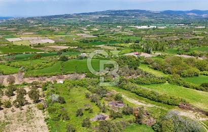 ÇANAKKALE LAPSEKİ KANGIRLI SATILIK TARLA BOĞAZ VE KÖPRÜ MANZARALI 