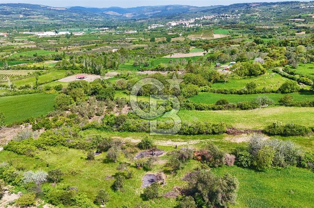 ÇANAKKALE LAPSEKİ KANGIRLI SATILIK TARLA BOĞAZ VE KÖPRÜ MANZARALI 