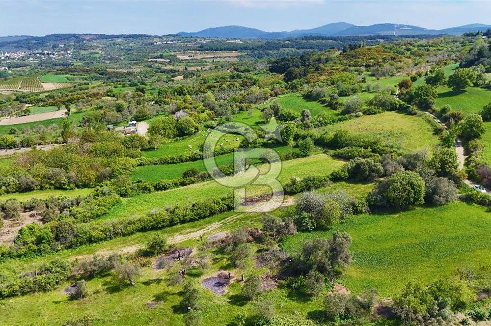 ÇANAKKALE LAPSEKİ KANGIRLI SATILIK TARLA BOĞAZ VE KÖPRÜ MANZARALI 