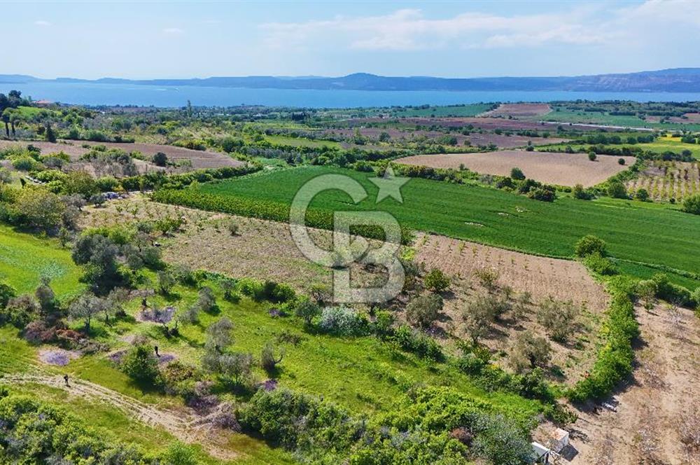 ÇANAKKALE LAPSEKİ KANGIRLI SATILIK TARLA BOĞAZ VE KÖPRÜ MANZARALI 