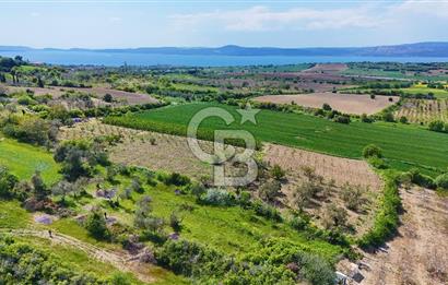 ÇANAKKALE LAPSEKİ KANGIRLI SATILIK TARLA BOĞAZ VE KÖPRÜ MANZARALI 