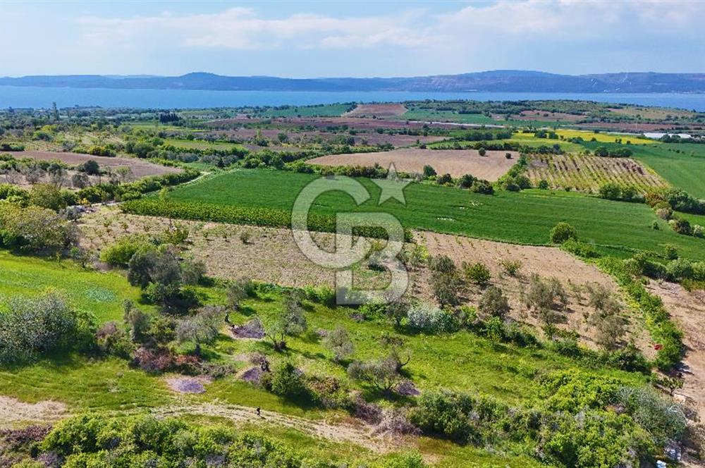 ÇANAKKALE LAPSEKİ KANGIRLI SATILIK TARLA BOĞAZ VE KÖPRÜ MANZARALI 