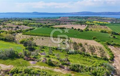ÇANAKKALE LAPSEKİ KANGIRLI SATILIK TARLA BOĞAZ VE KÖPRÜ MANZARALI 
