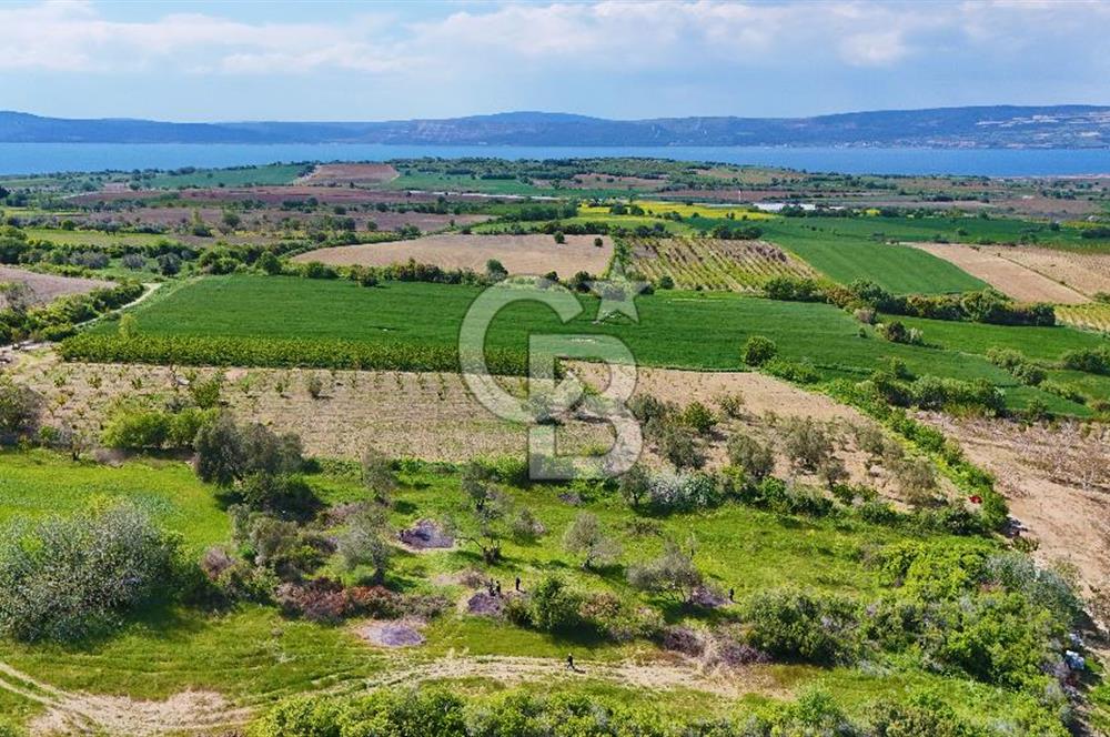 ÇANAKKALE LAPSEKİ KANGIRLI SATILIK TARLA BOĞAZ VE KÖPRÜ MANZARALI 