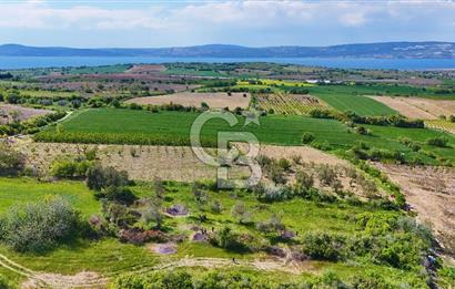 ÇANAKKALE LAPSEKİ KANGIRLI SATILIK TARLA BOĞAZ VE KÖPRÜ MANZARALI 