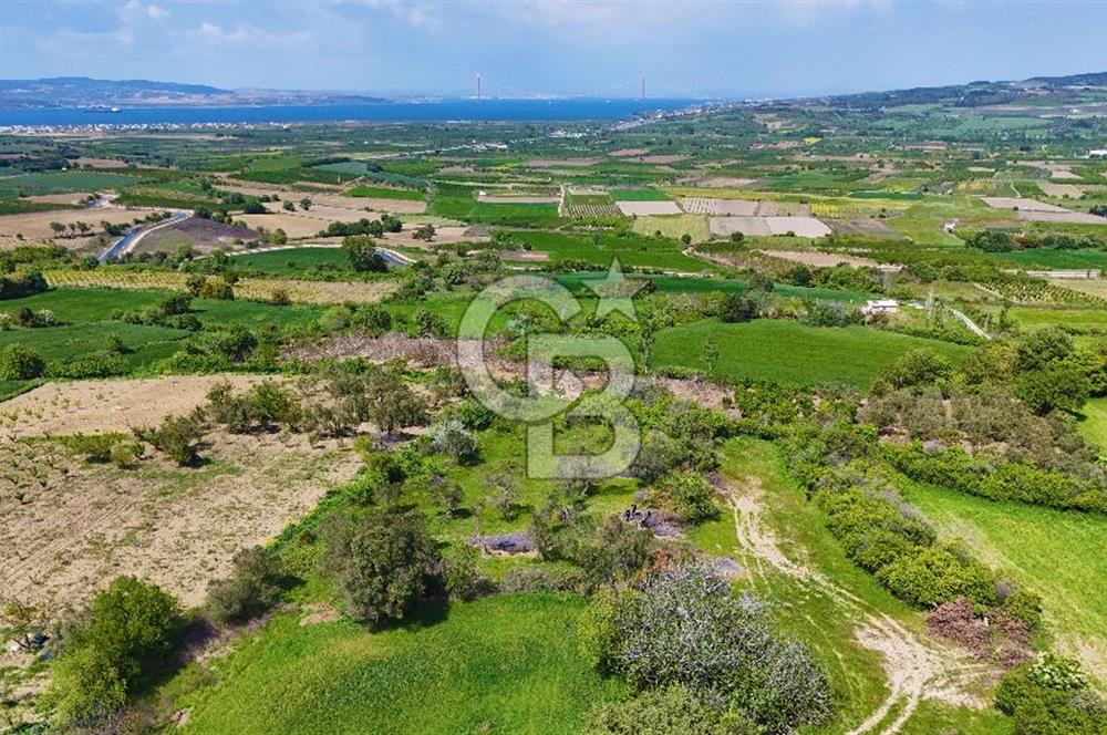 ÇANAKKALE LAPSEKİ KANGIRLI SATILIK TARLA BOĞAZ VE KÖPRÜ MANZARALI 