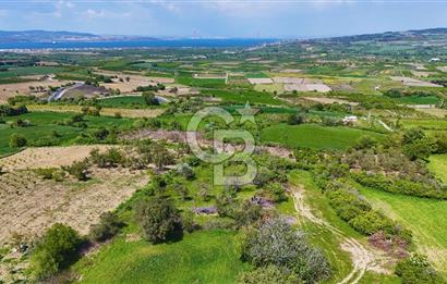 ÇANAKKALE LAPSEKİ KANGIRLI SATILIK TARLA BOĞAZ VE KÖPRÜ MANZARALI 