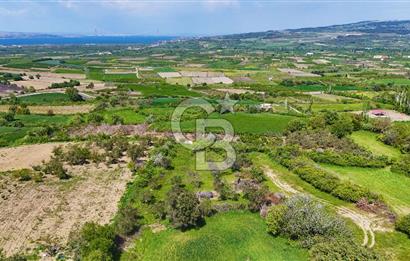 ÇANAKKALE LAPSEKİ KANGIRLI SATILIK TARLA BOĞAZ VE KÖPRÜ MANZARALI 