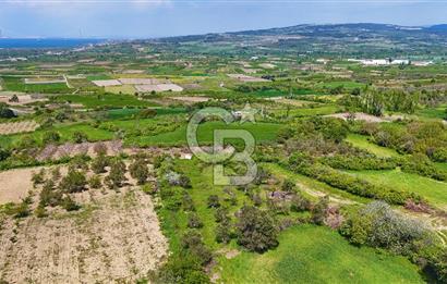 ÇANAKKALE LAPSEKİ KANGIRLI SATILIK TARLA BOĞAZ VE KÖPRÜ MANZARALI 