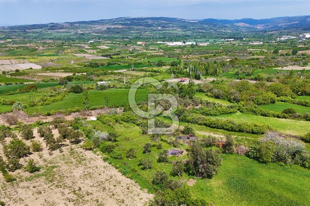 ÇANAKKALE LAPSEKİ KANGIRLI SATILIK TARLA BOĞAZ VE KÖPRÜ MANZARALI 