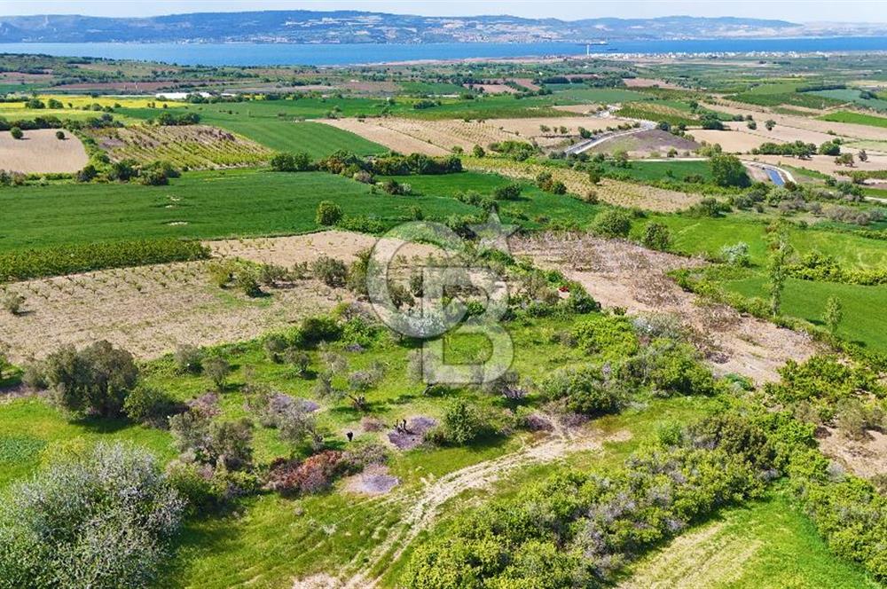 ÇANAKKALE LAPSEKİ KANGIRLI SATILIK TARLA BOĞAZ VE KÖPRÜ MANZARALI 