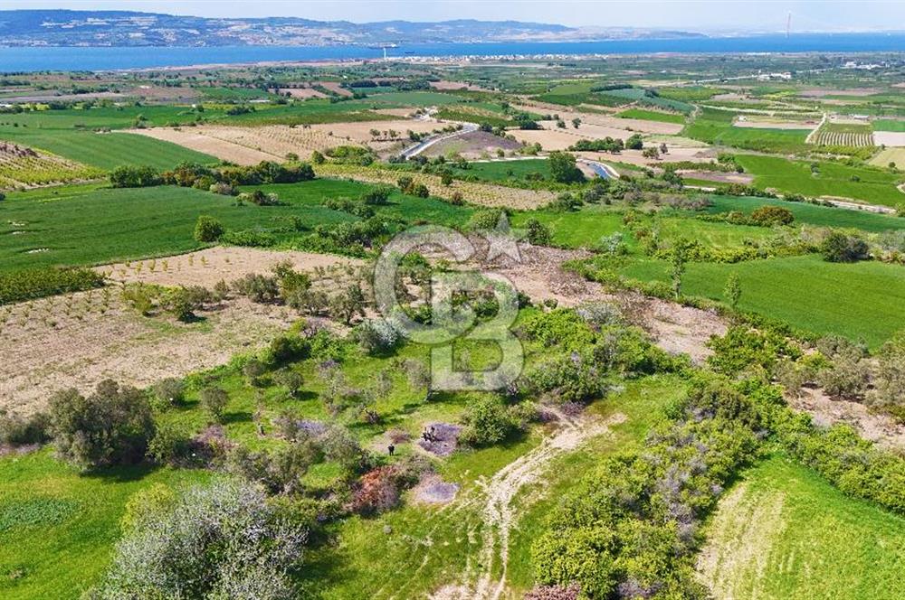 ÇANAKKALE LAPSEKİ KANGIRLI SATILIK TARLA BOĞAZ VE KÖPRÜ MANZARALI 