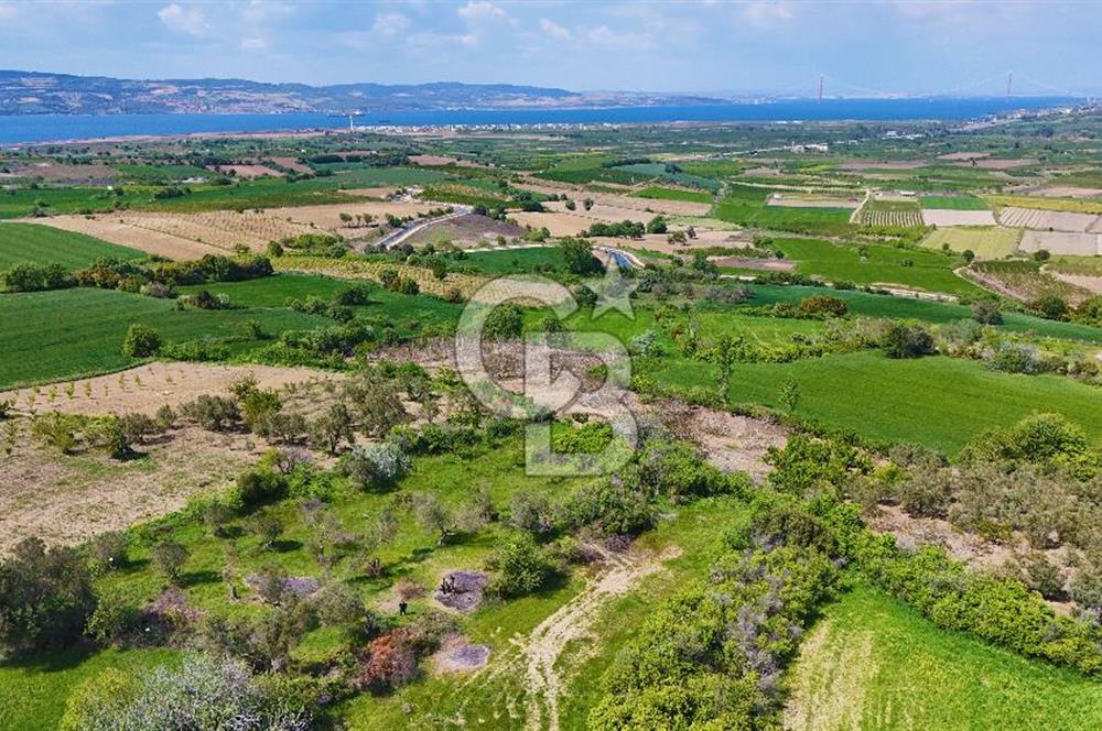 ÇANAKKALE LAPSEKİ KANGIRLI SATILIK TARLA BOĞAZ VE KÖPRÜ MANZARALI 