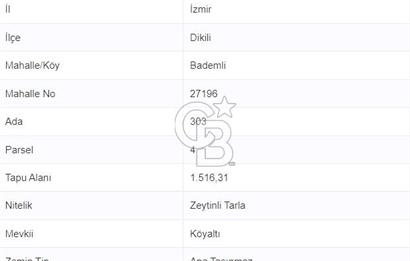 COLDWELL BANKER'DAN BADEMLİ'DE MERKEZDE SATILIK ZEYTİNLİK