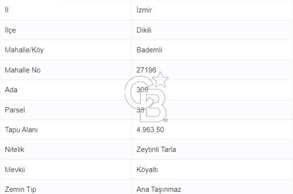 COLDWELL BANKER'DAN BADEMLİ'DE MERKEZDE SATILIK ZEYTİNLİK