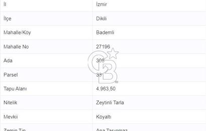 COLDWELL BANKER'DAN BADEMLİ'DE MERKEZDE SATILIK ZEYTİNLİK