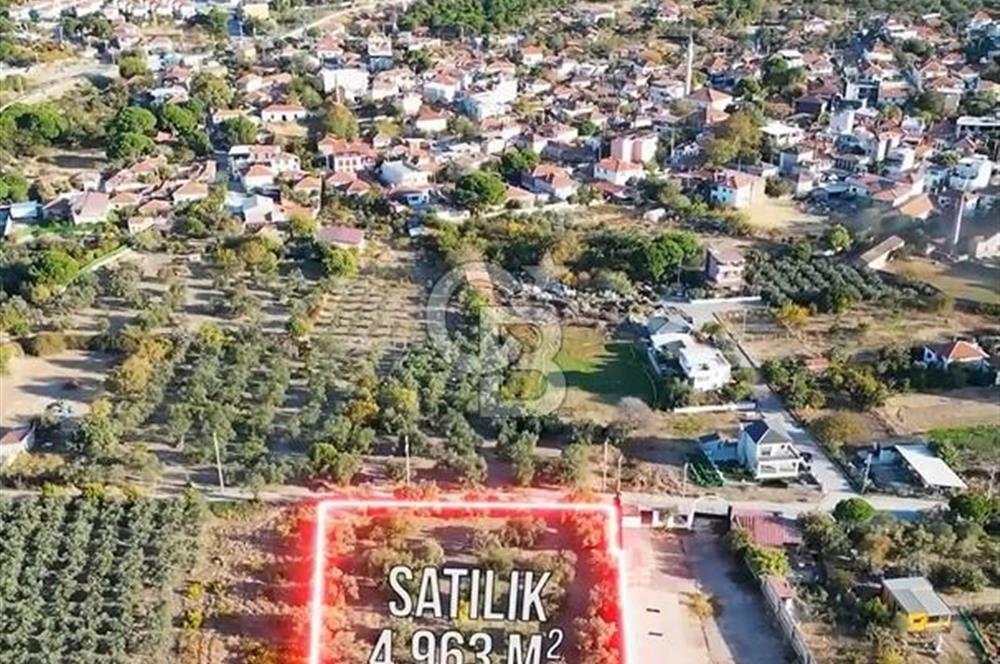 COLDWELL BANKER'DAN BADEMLİ'DE MERKEZDE SATILIK ZEYTİNLİK