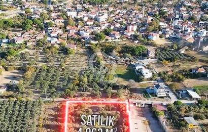 COLDWELL BANKER'DAN BADEMLİ'DE MERKEZDE SATILIK ZEYTİNLİK