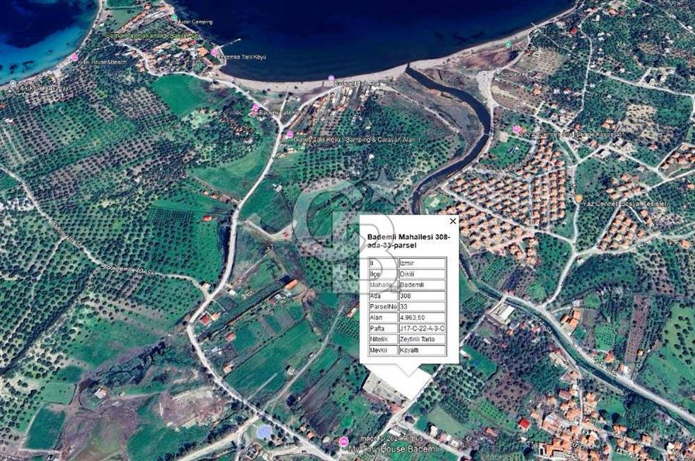 COLDWELL BANKER'DAN BADEMLİ'DE MERKEZDE SATILIK ZEYTİNLİK