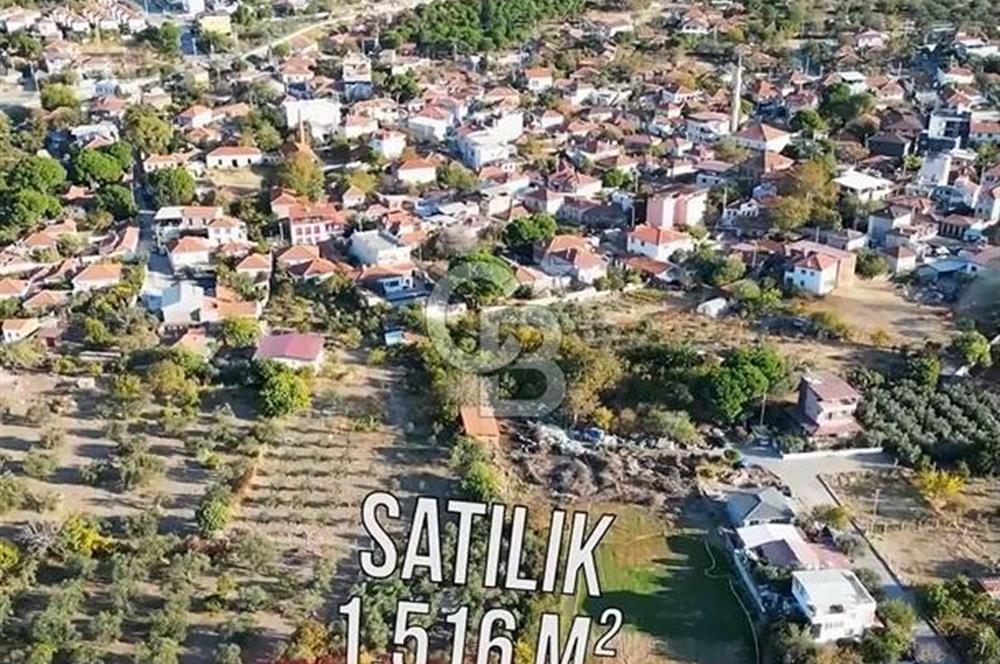 COLDWELL BANKER'DAN BADEMLİ'DE MERKEZDE SATILIK ZEYTİNLİK