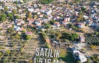 COLDWELL BANKER'DAN BADEMLİ'DE MERKEZDE SATILIK ZEYTİNLİK
