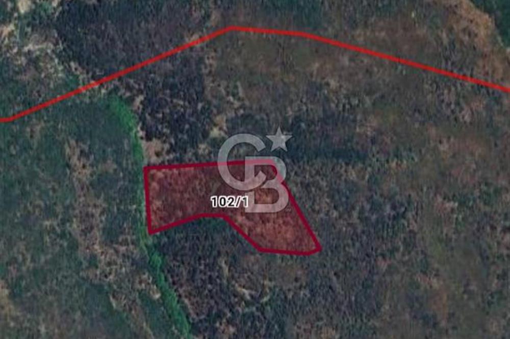 SATILIK TARLA KARABURUN PARLAK MAHALLESİ'NDE YATIRIM FIRSATI