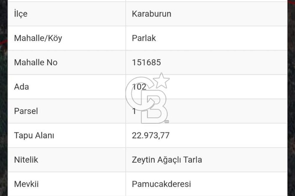 SATILIK TARLA KARABURUN PARLAK MAHALLESİ'NDE YATIRIM FIRSATI
