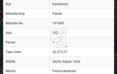 SATILIK TARLA KARABURUN PARLAK MAHALLESİ'NDE YATIRIM FIRSATI