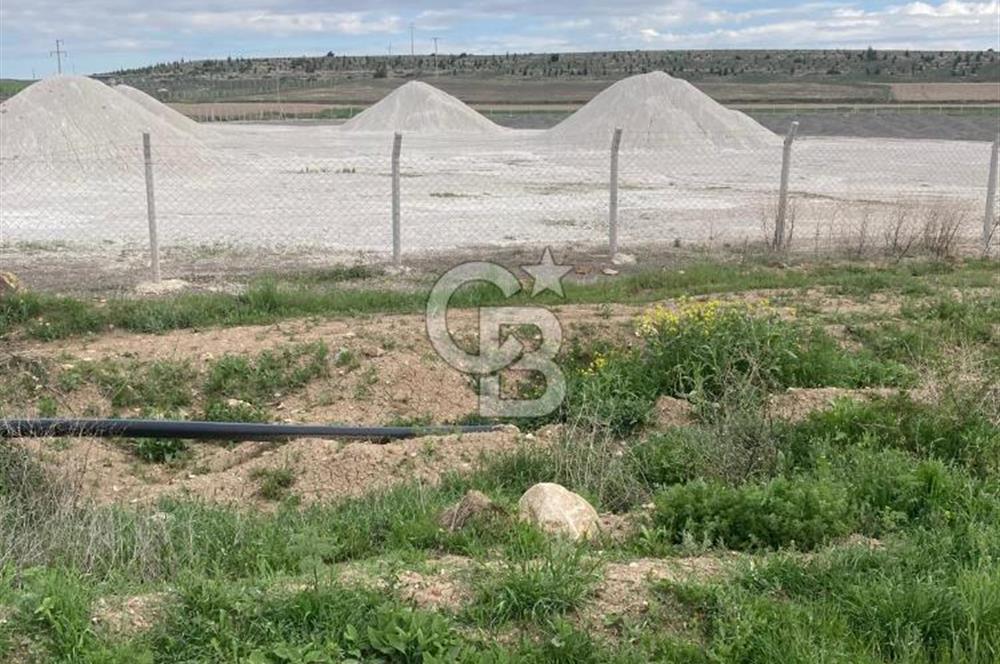 CB CITY'DEN SEYİTGAZİ TAŞLIK MAHALLESİNDE SATILIK TARLA