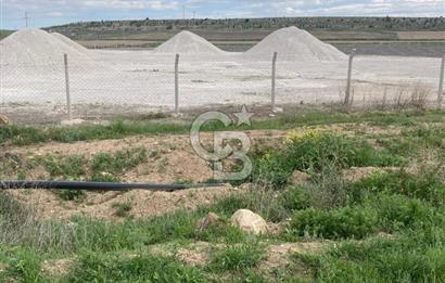 CB CITY'DEN SEYİTGAZİ TAŞLIK MAHALLESİNDE SATILIK TARLA