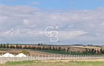 CB CITY'DEN SEYİTGAZİ TAŞLIK MAHALLESİNDE SATILIK TARLA