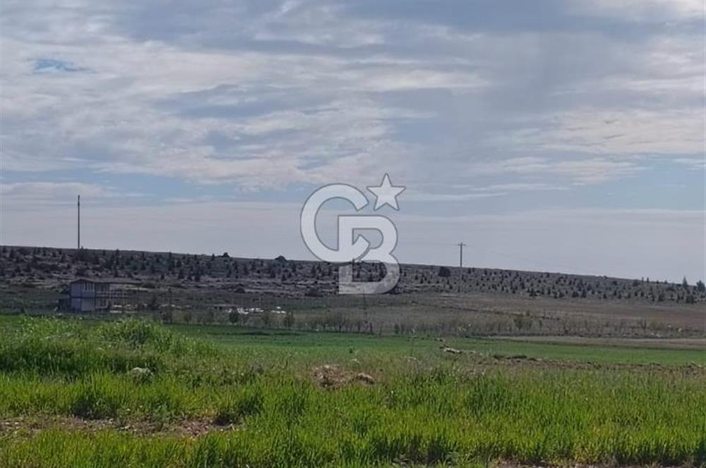 CB CITY'DEN SEYİTGAZİ TAŞLIK MAHALLESİNDE SATILIK TARLA
