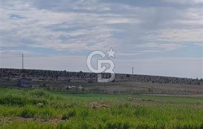 CB CITY'DEN SEYİTGAZİ TAŞLIK MAHALLESİNDE SATILIK TARLA