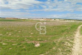 CB CITY'DEN SEYİTGAZİ TAŞLIK MAHALLESİNDE SATILIK TARLA