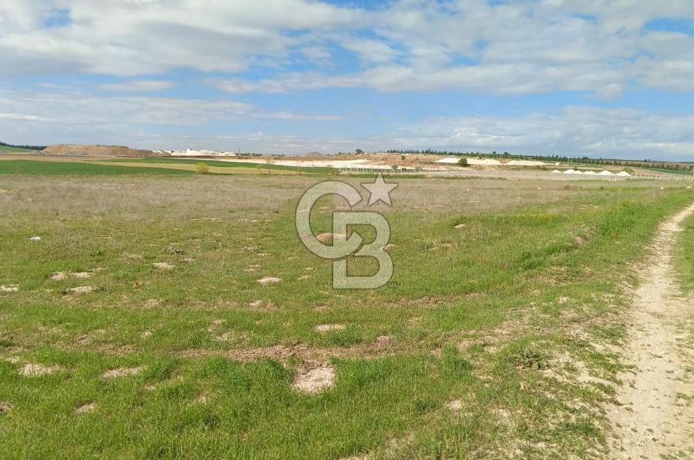 CB CITY'DEN SEYİTGAZİ TAŞLIK MAHALLESİNDE SATILIK TARLA