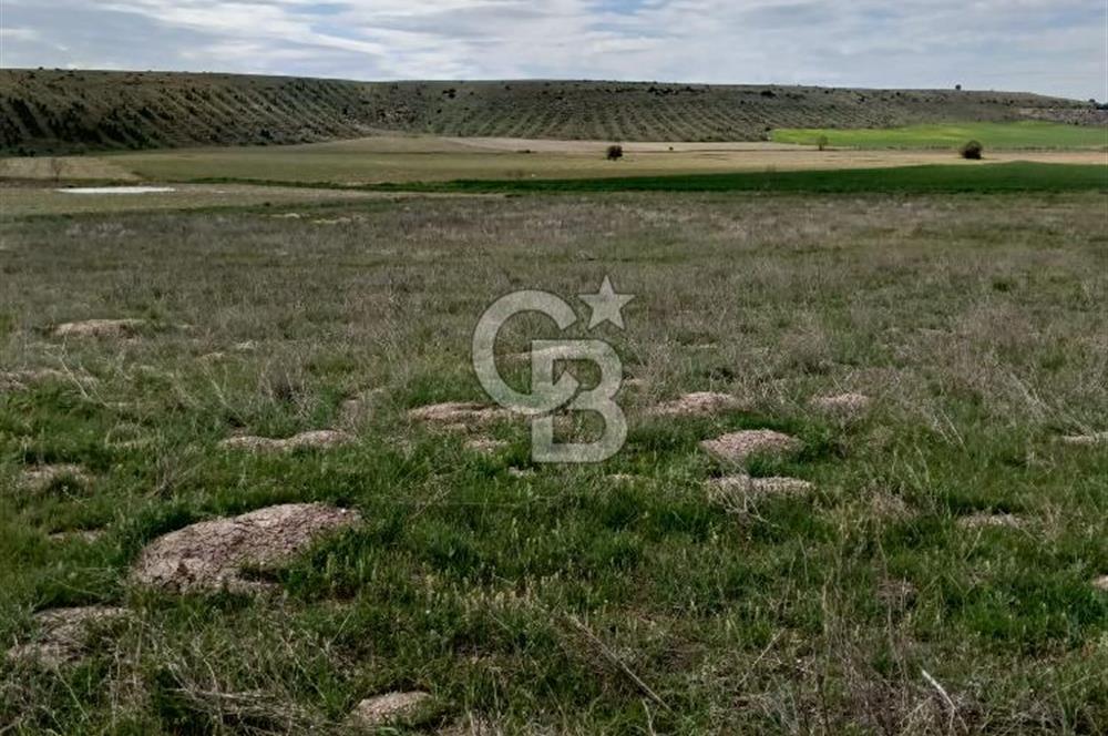 CB CITY'DEN SEYİTGAZİ TAŞLIK MAHALLESİNDE SATILIK TARLA