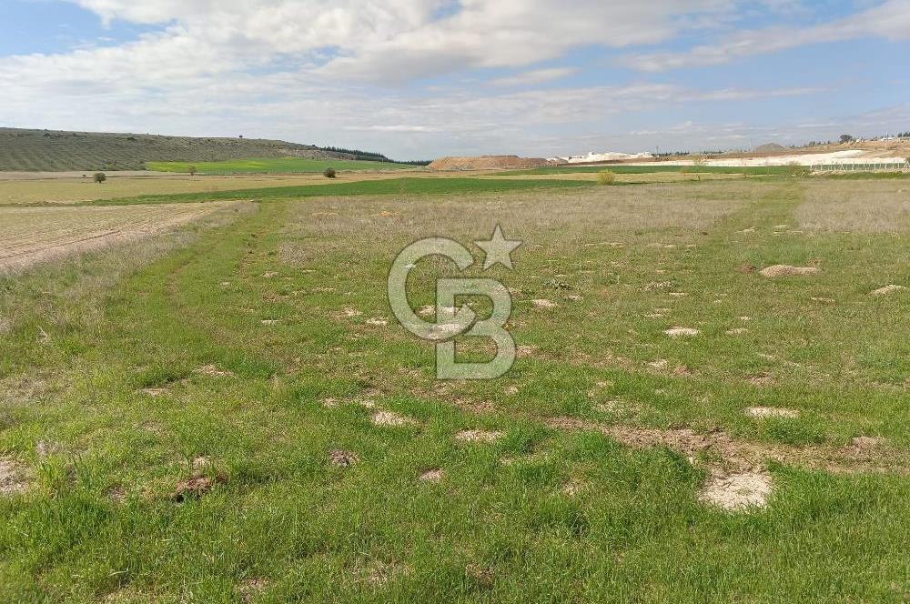 CB CITY'DEN SEYİTGAZİ TAŞLIK MAHALLESİNDE SATILIK TARLA
