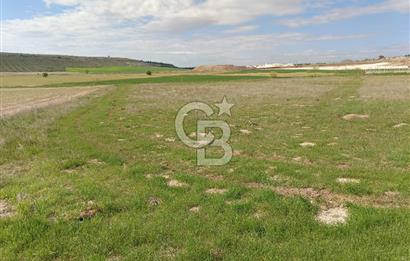 CB CITY'DEN SEYİTGAZİ TAŞLIK MAHALLESİNDE SATILIK TARLA