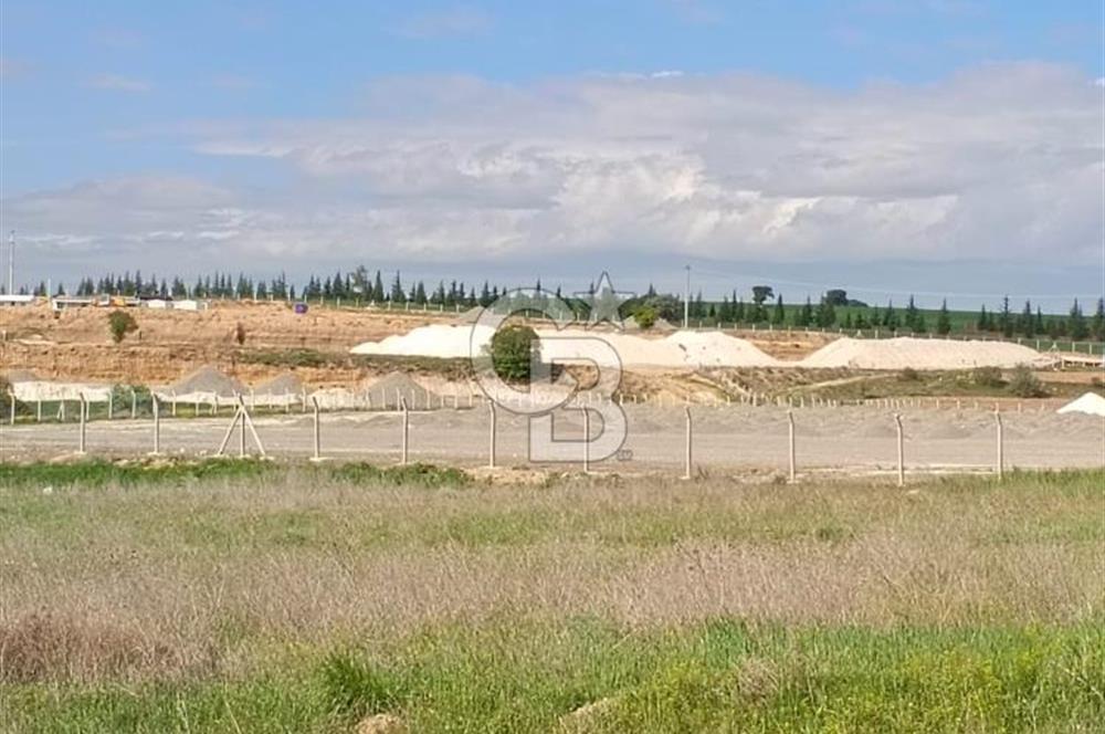 CB CITY'DEN SEYİTGAZİ TAŞLIK MAHALLESİNDE SATILIK TARLA