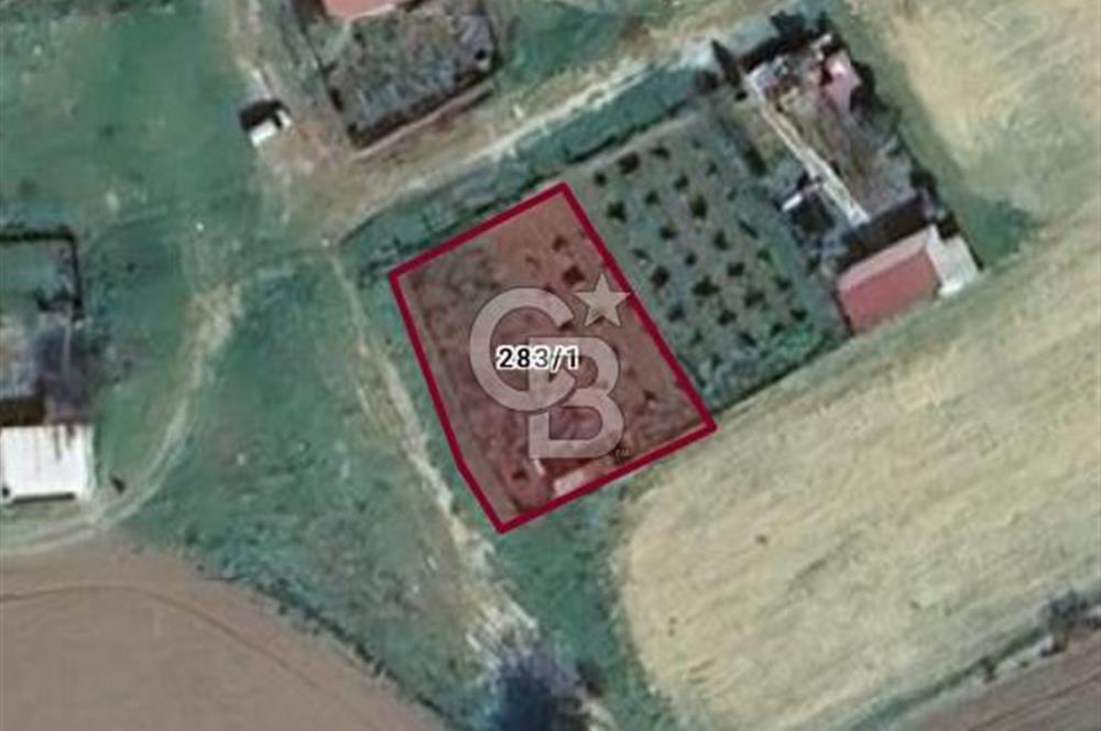 İzmir Torbalı Subaşı mahallesinde satılık konut imarlı arsa
