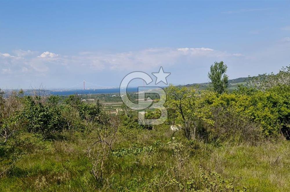ÇANAKKALE LAPSEKİ KANGIRLI SATILIK TARLA BOĞAZ VE KÖPRÜ MANZARALI 