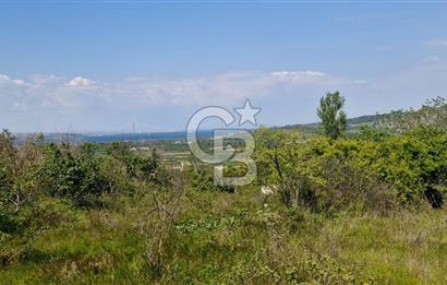 ÇANAKKALE LAPSEKİ KANGIRLI SATILIK TARLA BOĞAZ VE KÖPRÜ MANZARALI 