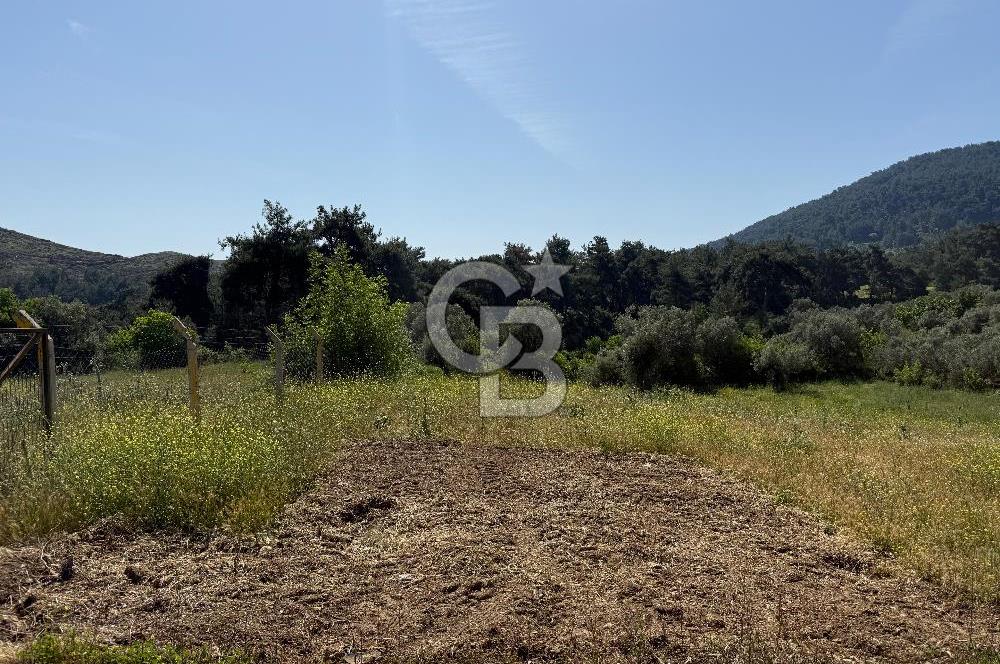 Menderes Değirmendere'de 3437 M² Tek Tapu Satılık Tarla