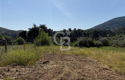 Menderes Değirmendere'de 3437 M² Tek Tapu Satılık Tarla